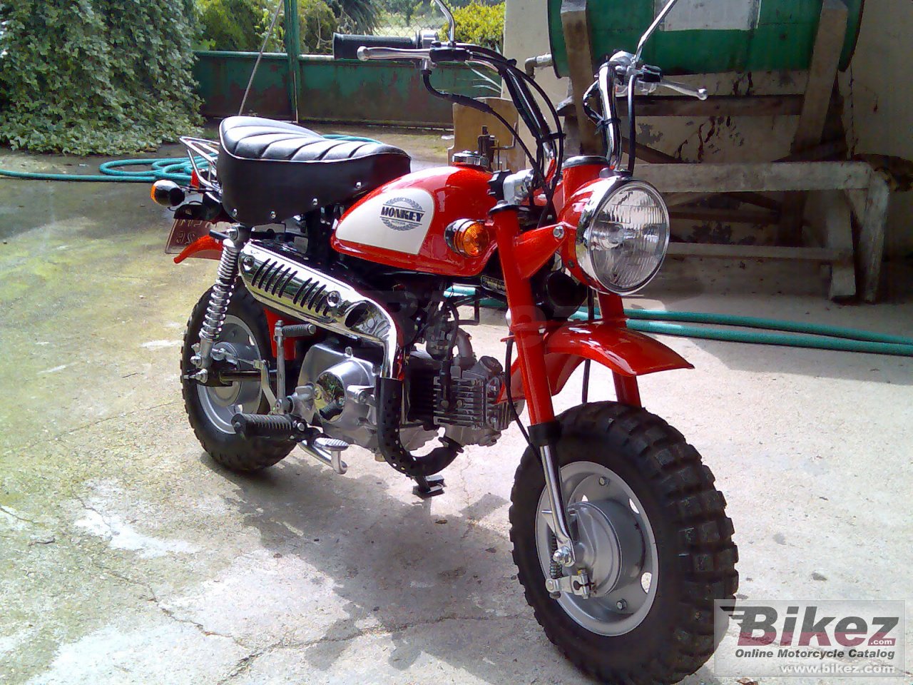 Big onkey Z50J monkey 50 picture and wallpaper from Bikez.com